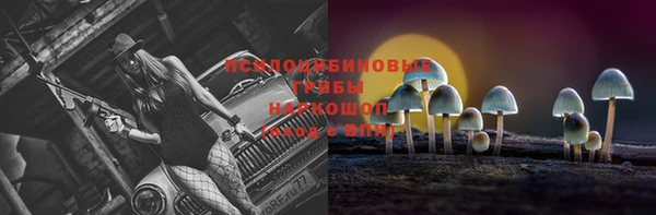 крисы Алексин