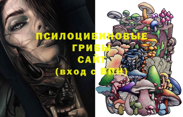 крисы Алексин