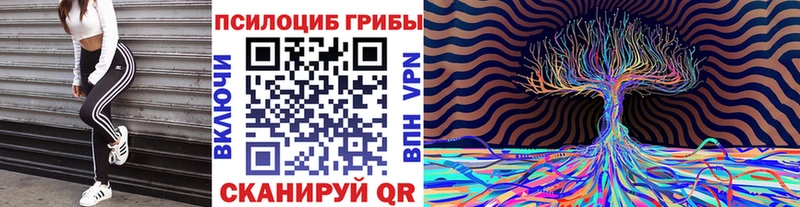Галлюциногенные грибы MAGIC MUSHROOMS  где купить наркотик  Клин 